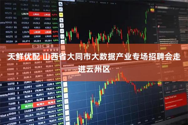 天鲜优配 山西省大同市大数据产业专场招聘会走进云州区