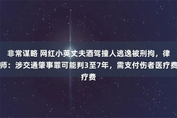 非常谋略 网红小英丈夫酒驾撞人逃逸被刑拘，律师：涉交通肇事罪可能判3至7年，需支付伤者医疗费
