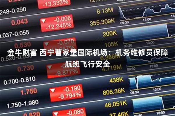 金牛财富 西宁曹家堡国际机场：机务维修员保障航班飞行安全