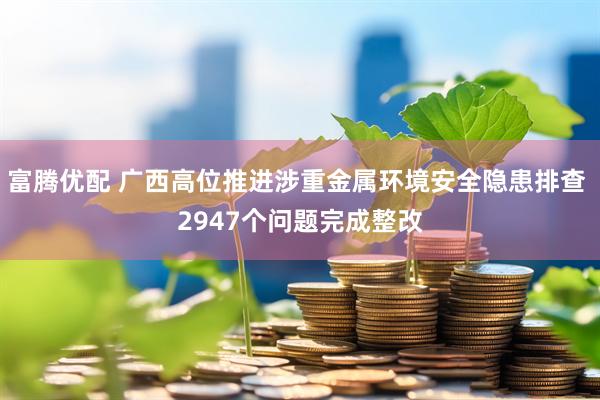 富腾优配 广西高位推进涉重金属环境安全隐患排查 2947个问题完成整改