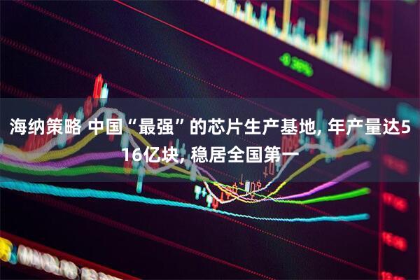 海纳策略 中国“最强”的芯片生产基地, 年产量达516亿块, 稳居全国第一