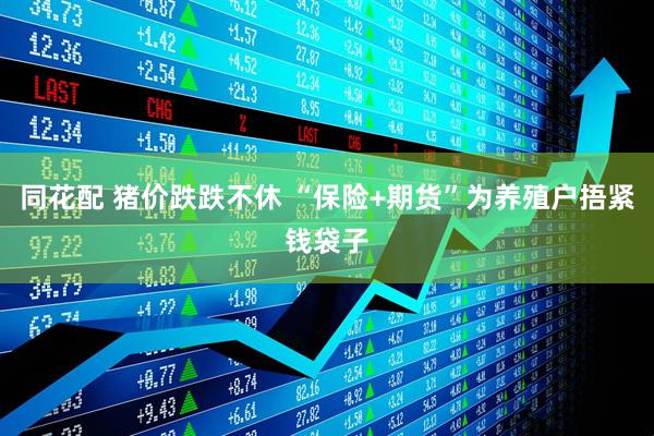 同花配 猪价跌跌不休 “保险+期货”为养殖户捂紧钱袋子