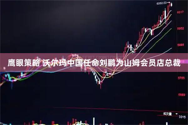 鹰眼策略 沃尔玛中国任命刘鹏为山姆会员店总裁