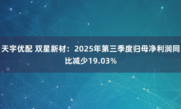 天宇优配 双星新材：2025年第三季度归母净利润同比减少19.03%