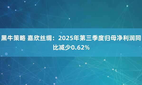 黑牛策略 嘉欣丝绸：2025年第三季度归母净利润同比减少0.62%