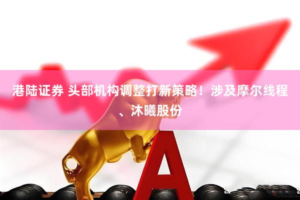 港陆证券 头部机构调整打新策略！涉及摩尔线程、沐曦股份